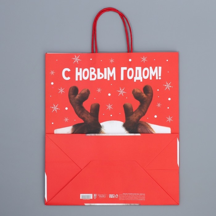 Пакет подарочный новогодний крафтовый «Олень ты», 28 х 32 х 15 см Пакет подарочный новогодний крафтовый «Олень ты», 28 х 32 х 15 см