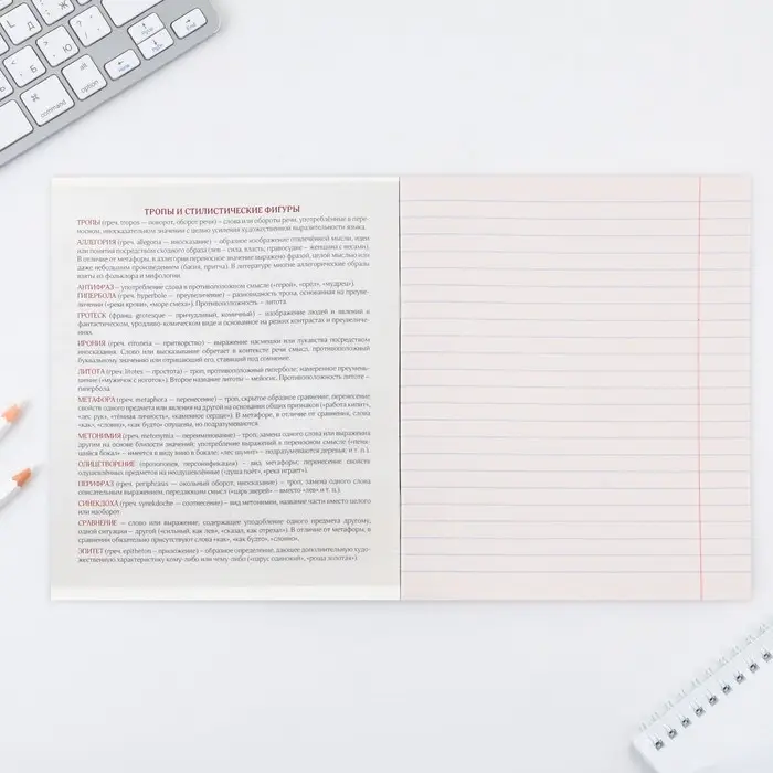 Тетрадь в линейку, предметная, 48 л.,на скрепке, А5 &laquo;КОСМОС. Литература&raquo;