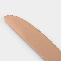 Нож столовый Magistro &laquo;Эми&raquo;, длина 22.5 см, на подвесе, нержавеющая сталь, цвет бронзовый