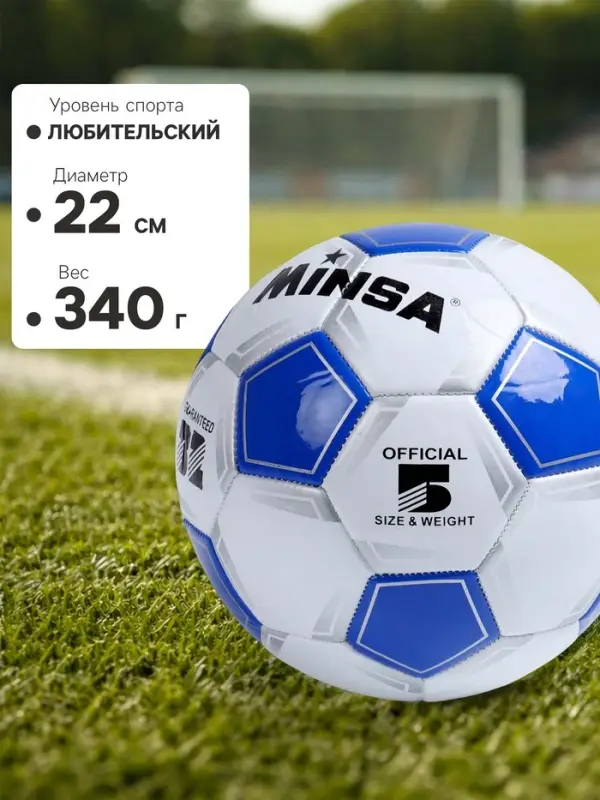 Футбольный мяч MINSA Classic, машинная сшивка, 32 панели, р. 5, TPU