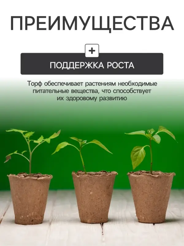 Набор для рассады: торфяной горшок 6×6 см, кассета на 6 ячеек, 17.5×13.5 см, Greengo