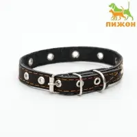 Ошейник кожаный однослойный с рифлеными люверсами, безразмерный, 40&times;1.5 см, ОШ 27-35 см, чёрный