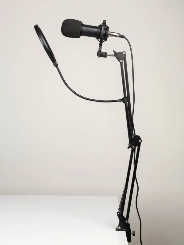 Микрофон конденсаторный Music Life черный: кабель, ветрозащита, стойка