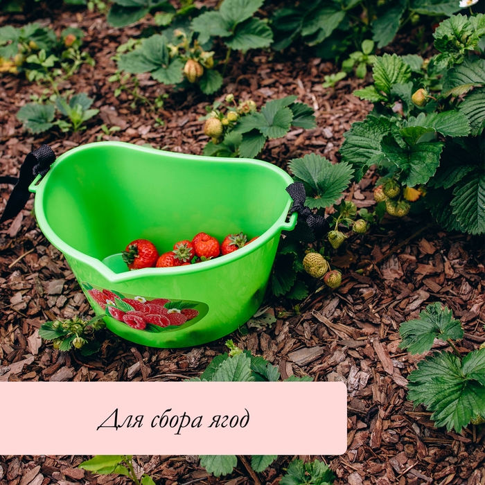 Ёмкость для сбора ягод, 3 л, «Малина»
