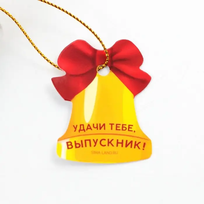 Ручка шариковая в тубусе, пластик, синяя паста, 1.0 мм «Выпускнику школы»