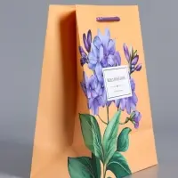 Пакет подарочный "Тонкая эстетика" ламинированный 18 х 22,3 х 10 см