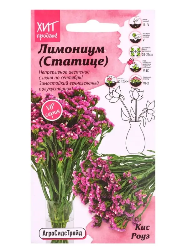Семена цветов Лимониум (Статице) Кис Роуз 10 шт