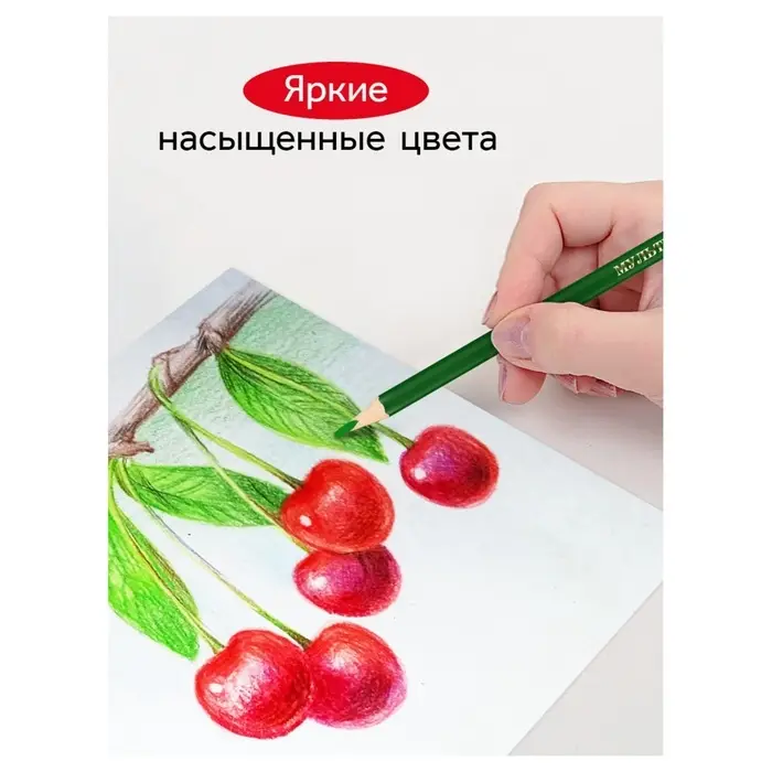 Карандаши цветные 12 цветов &laquo;Гамма. Мультики&raquo;, трёхгранные, заточенные, картонная упаковка, (290122_12)