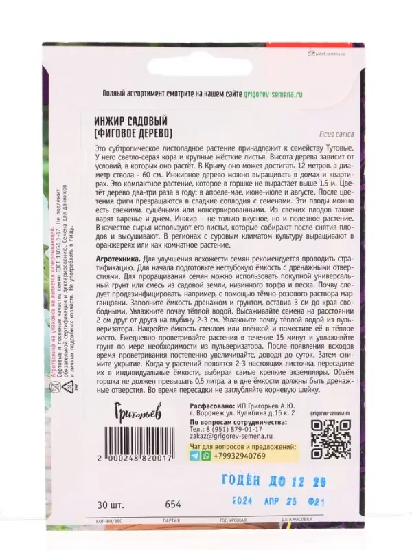 Семена цветов Инжир Садовый (Фиговое дерево) 30шт. / НОВИНКА  12.29 г.