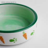 Миска керамическая с морковками 100 мл  8,8 х 8,8 х 3 см, белая/зелёная