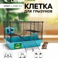 Клетка для грызунов &laquo;Пижон&raquo;, 38&times;27&times;27 см, складная, домик, миска, колесо, бирюзовая