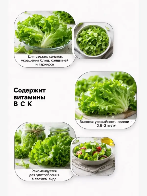 Семена Салат листовой &laquo;Весёлая грядка&raquo;, смесь, 0.5 г, &laquo;Аэлита&raquo;