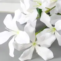 Цветы искусственные &laquo;Баухиния пёстрая&raquo;, d=13 см, h=71 см, белые