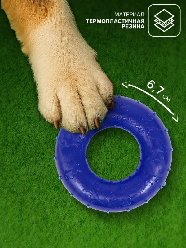 Жевательная игрушка для собак &laquo;Кольцо&raquo;, 6.7&times;2 см, прозрачная, PP, синяя
