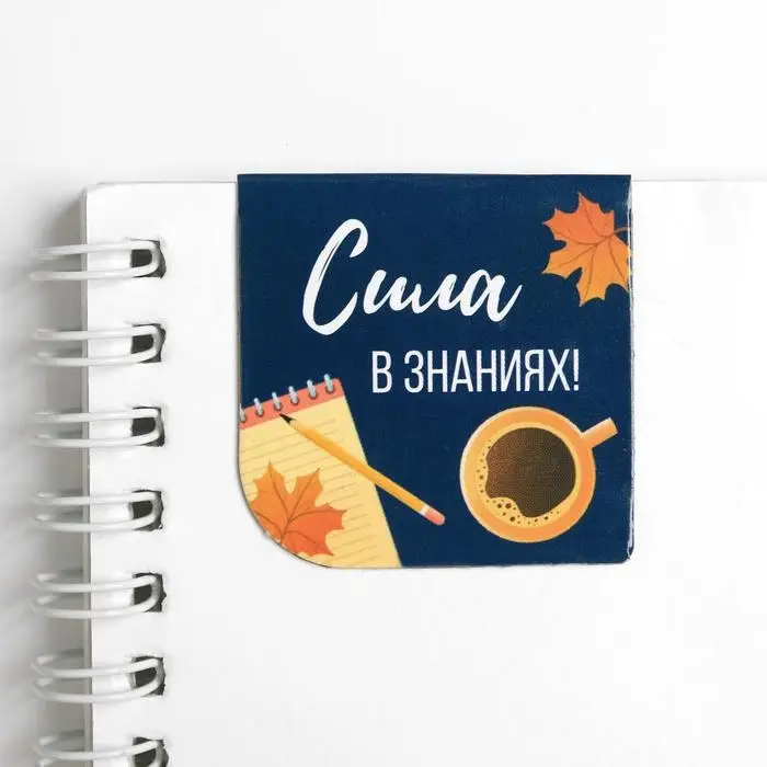 Магнитные закладки для книг, 4 шт., в открытке &laquo;С днем учителя&raquo;