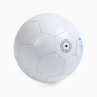 Футбольный мяч ONLYTOP &laquo;Россия&raquo;, машинная сшивка, 32 панели, р. 5, PVC