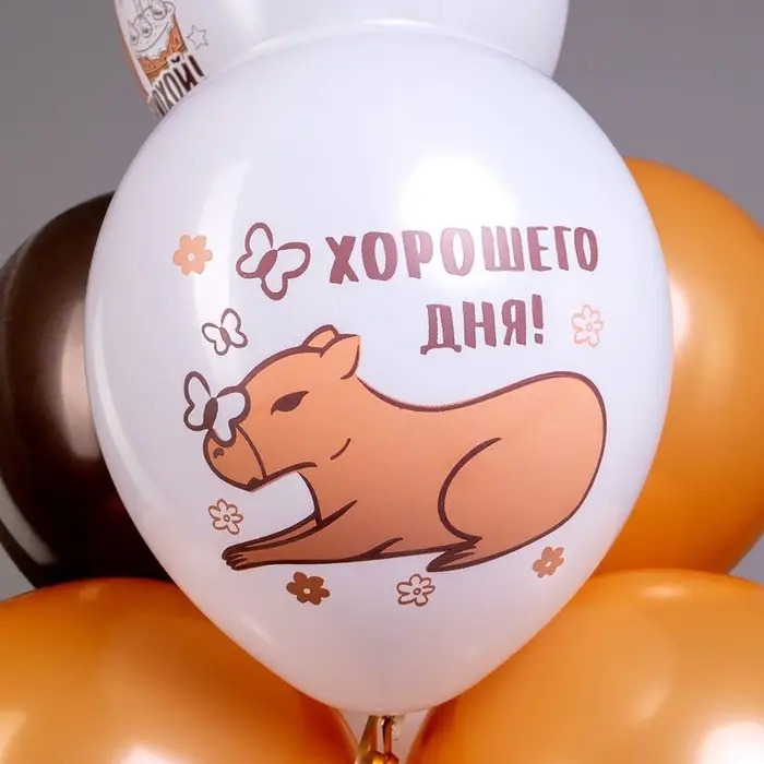 Воздушные шары латексные 12" &laquo;С днем рождения! Капибара&raquo;, 25 шт., МИКС