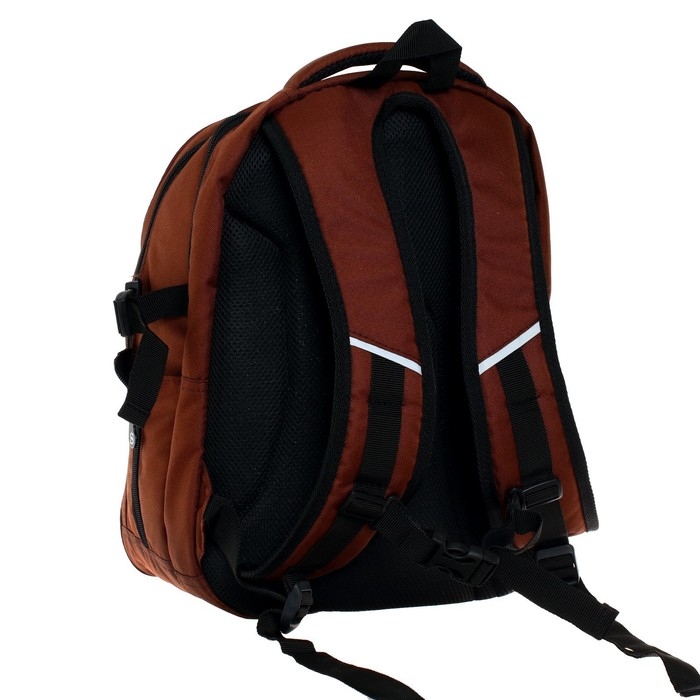 Рюкзак молодёжный Stavia, 40 х 28 х 18 см, эргономичная спинка, Stavia  Рюкзак молодёжный Stavia, 40 х 28 х 18 см, эргономичная спинка, Stavia "Город-1", коричневый