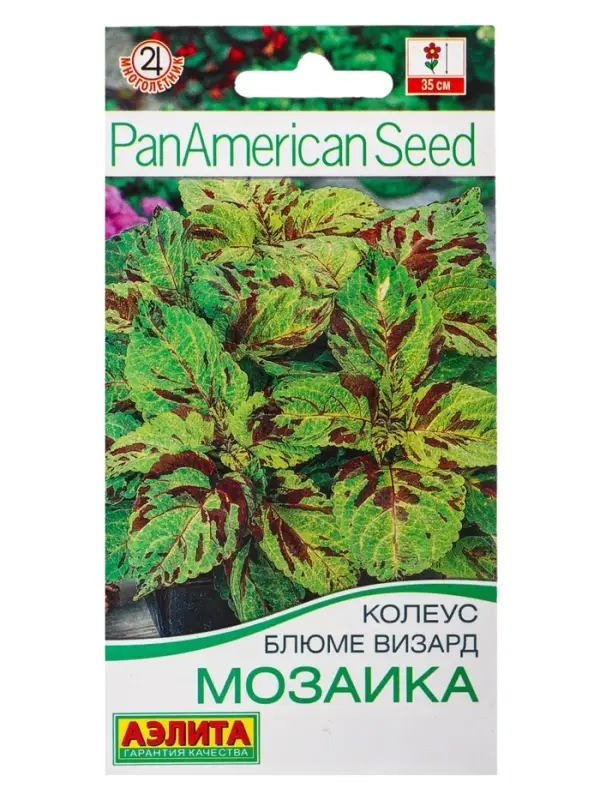 Набор семян цветов Колеус