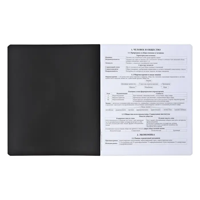 Набор предметных тетрадей ErichKrause &laquo;Зри в корень&raquo;, 12 предметов, 48 листов, со справочным материалом, пластиковая обложка