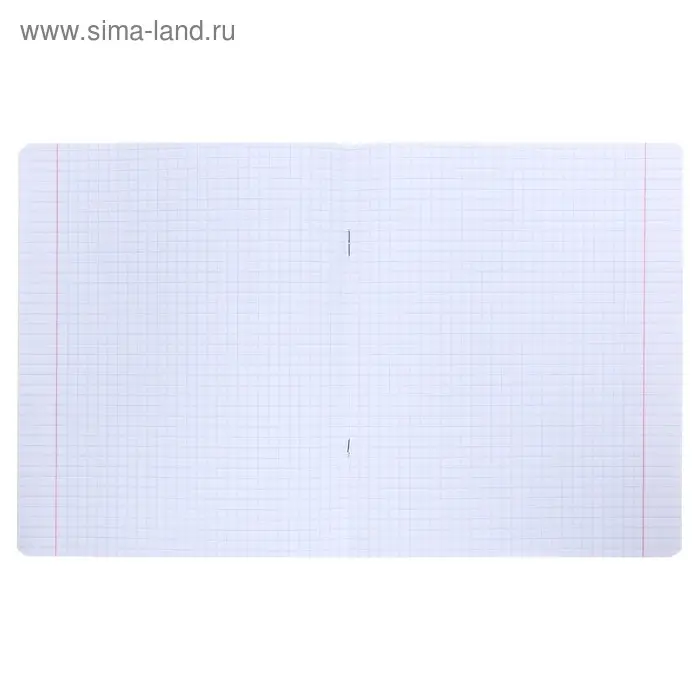 Тетрадь 12 листов в клетку &laquo;Удивительные котята&raquo;, обложка мелованная бумага, ВД-лак, МИКС