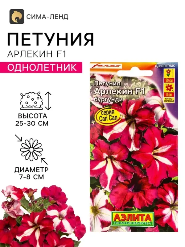 Семена цветов Петуния &laquo;Арлекин&raquo; F1, бургунди, крупноцветковая, драже, С. Farao, 5 шт.