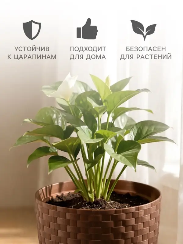 Горшок цветочный с поддоном &laquo;Ротанг&raquo;, 2 л, d=15 см, h=15 см, пластиковый, коричневый