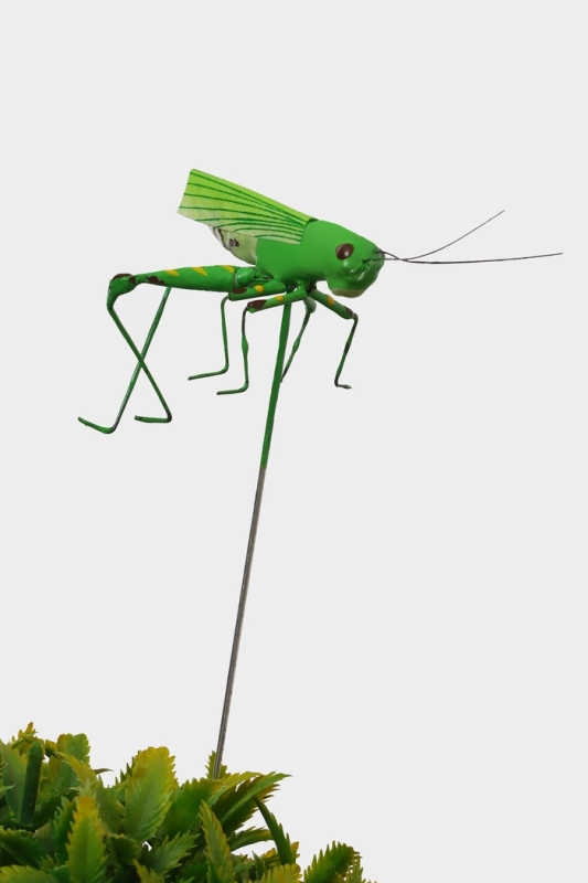 Набор штекеров «Лягушка и кузнечик», 3.5/4 см Набор штекеров «Лягушка и кузнечик», 3.5/4 см