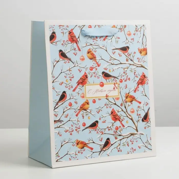 Пакет подарочный новогодний ламинированный «Морозное утро», ML 23 х 27 х 11.5 см Пакет подарочный новогодний ламинированный «Морозное утро», ML 23 х 27 х 11.5 см