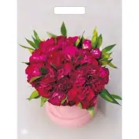 Пакет &laquo;Букет пионов&raquo;, полиэтиленовый, с вырубной ручкой, 31&times;40 см, 60 мкм