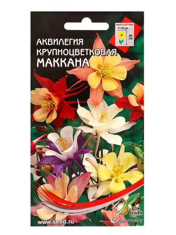 Семена цветов Аквилегия, многолетняя, крупноцветковая &laquo;Маккана&raquo;, 50 семян