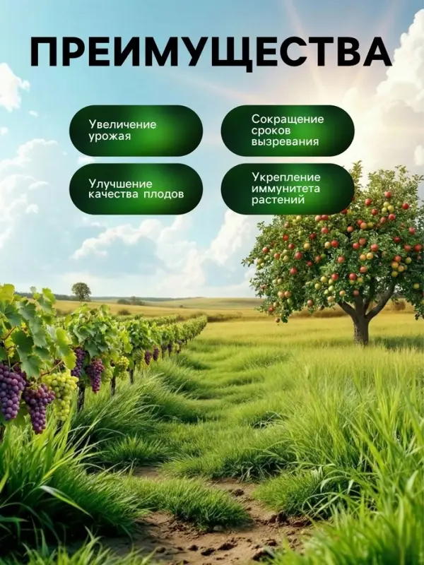 Органическое удобрение для плодово-ягодных культур Greenlife, гранулированное, 800 г