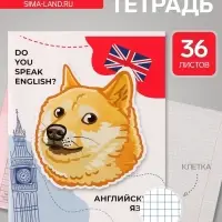 Предметная тетрадь по английскому языку Calligrata &laquo;Животные мемы&raquo;, 36 листов, в клетку, со справочным материалом, обложка из мелованной бумаги