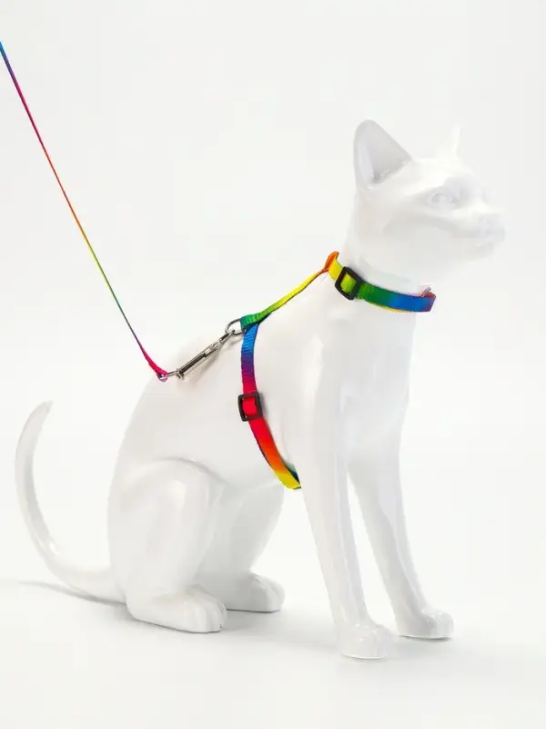 Комплект для кошек &laquo;Радуга&raquo;, ОШ 16.5-27, ОГ 21-35 см, ширина 1 см, поводок 120 см