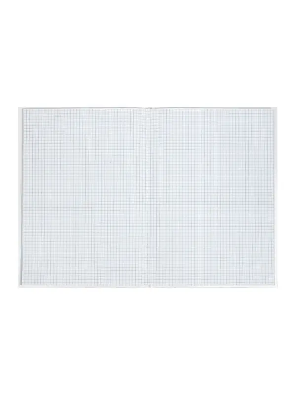Книга учета А4, 96 листов, клетка, 200&times;290 мм, обложка картон 7Б, белый, блок офсетный