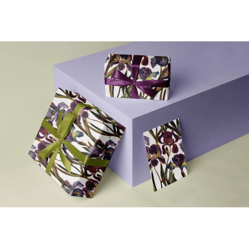 Бумага упаковочная FLORA.ИРИСЫ, 50 х 70 см (4 листа), 2-794/03