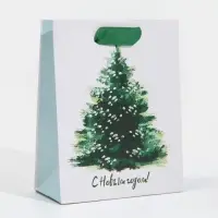 Пакет подарочный новогодний ламинированный &laquo;Морозная свежесть&raquo;, 12 х 15 х 5.5 см