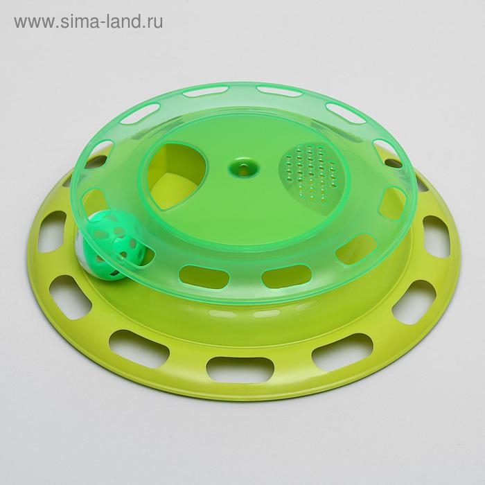 Игровой комплекс для кошек с отсеками для корма и шариком (картоная коробка), микс Игровой комплекс для кошек с отсеками для корма и шариком (картоная коробка), микс