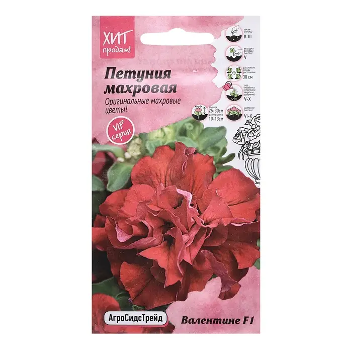 Семена цветов Петуния  Семена цветов Петуния "Валентине", махровая, 10 шт