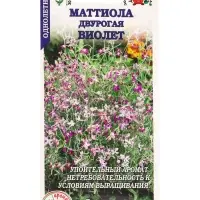 Семена Маттиола Виолет /Сотка/ 0,5 г/ h-50см, d-2см/*1200 Семена Маттиола Виолет /Сотка/ 0,5 г/ h-50см, d-2см/*1200