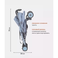 Коляска прогулочная детская RANT basic «Tango» RA351, складывается в трость, цвет Pacific Blue