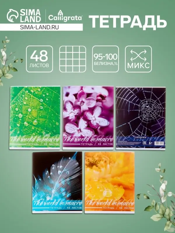 Тетрадь 48 листов в клетку, Calligrata &laquo;Микромир&raquo;, МИКС