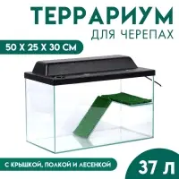 Террариум для черепах 37 л, с крышкой, полкой и лесенкой, 50&times;25&times;30 см