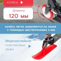 Самокат-снегокат 2 в 1 GRAFFITI T-Rex