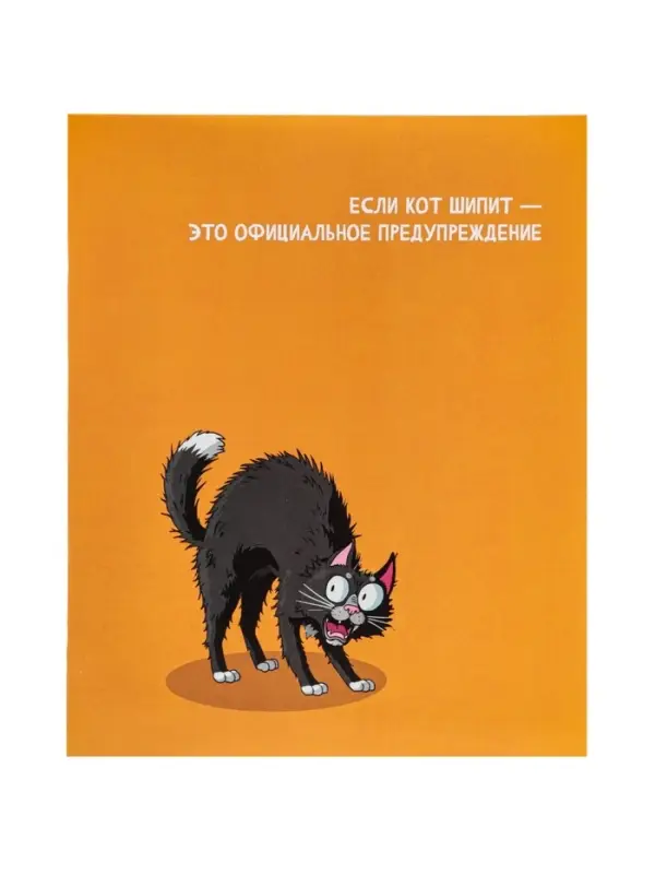 Тетрадь 24 листа в линейку Calligrata &laquo;Кошачьи мемы&raquo;, блок офсет, 5 В МИКС