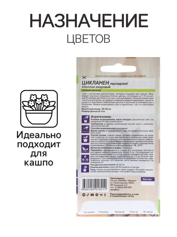 Семена комнатных цветов Цикламен &laquo;Аполлон&raquo;, 3 шт., &laquo;Семена Алтая&raquo;