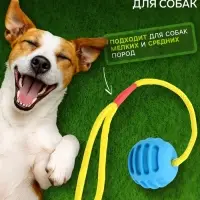 Игрушка &laquo;Шар усиленный на веревке&raquo;, 43 см, шар 6 см, голубой