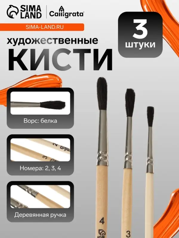 Набор кистей для рисования, белка, 3 штуки: №: 2, 3, 4, Calligrata, круглые, деревянная ручка, в пакете