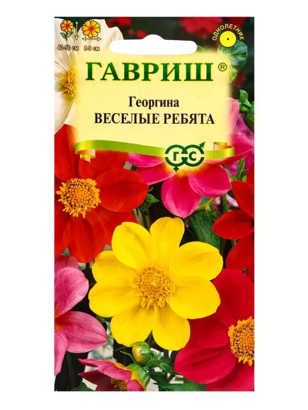 Семена Георгина воротничковая &laquo;Веселые ребята&raquo;, 0.5 г, &laquo;Гавриш&raquo;