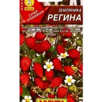 Семена Земляника Регина, Ц/П,0,04 г Семена Земляника Регина, Ц/П,0,04 г